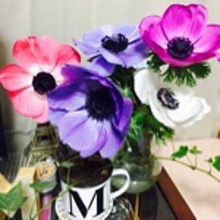mi-co