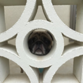 pagu