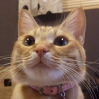 hana