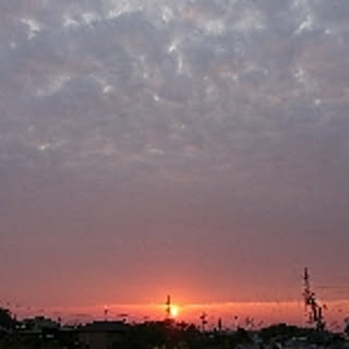 pocohome