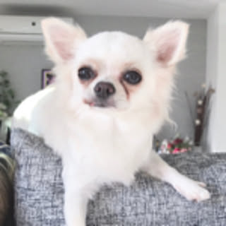 NEO