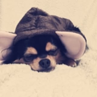 saryo
