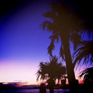 YMshell_u