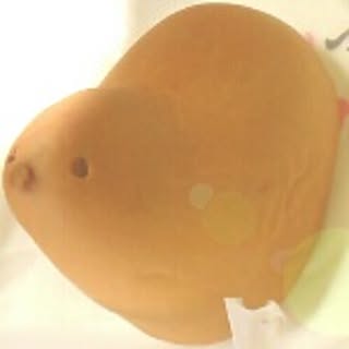 yuccha