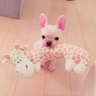 LUCY