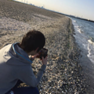 yusei