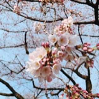 naotarou