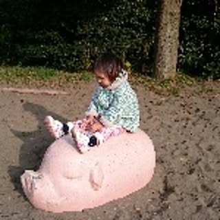 tsubuko