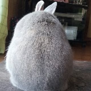 0e0
