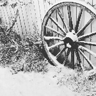 sugarayaken