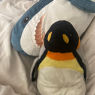 o3.kt
