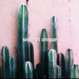 seuleetunique