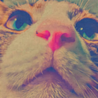yucat