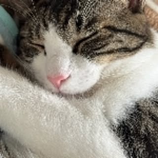 minaco
