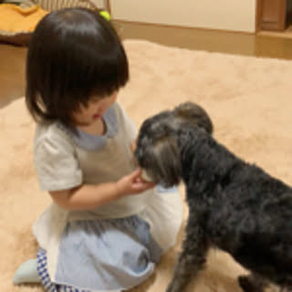 Chiharu
