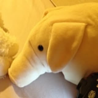 bamse