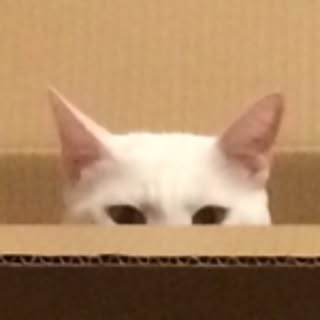 makoron_1107