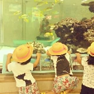 yuka_s
