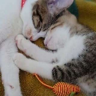 little