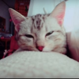 ami