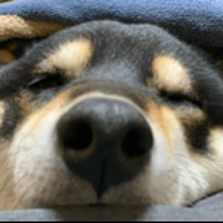 hana