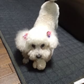 matan