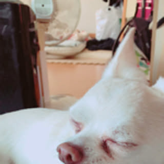 poooon