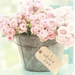 bloom
