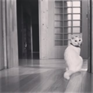 yuriko