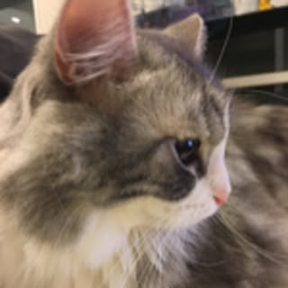 kitahappy