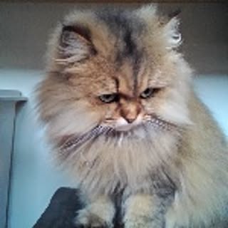 huki