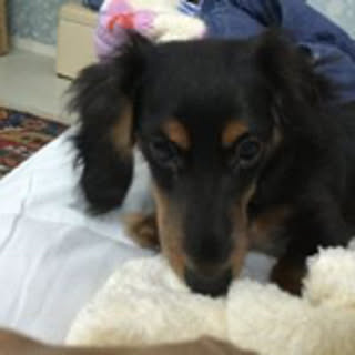 Kuroe
