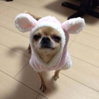 Mizu
