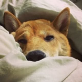jinmaru