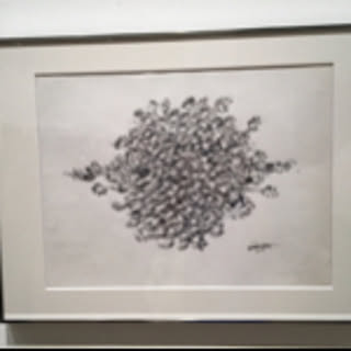 trtr5013