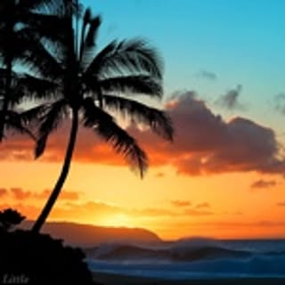 aloha