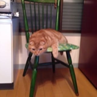 randebu