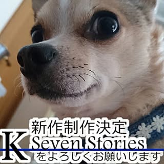 hanabon5