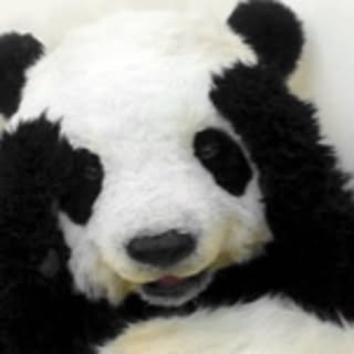shihni
