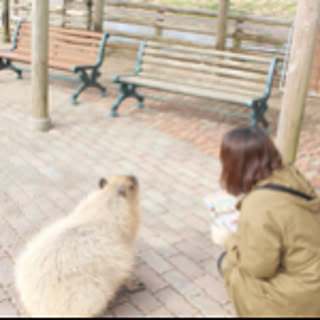 nao