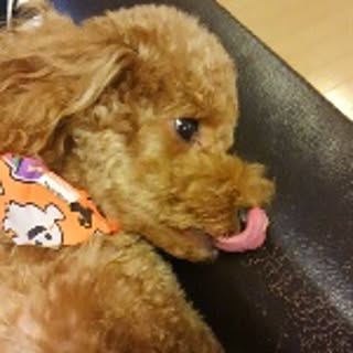 hiro