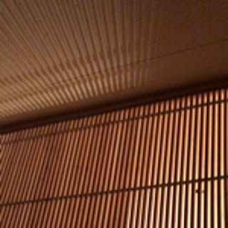 vis