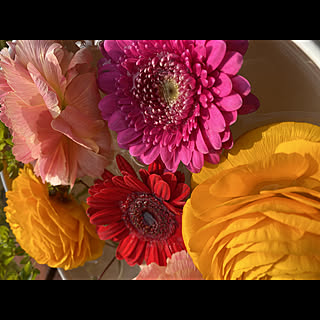 sakito_0190777