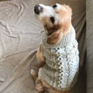 cobooboo
