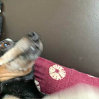 Rankn