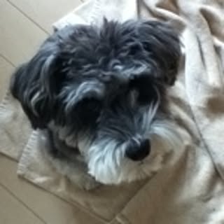 charlielike