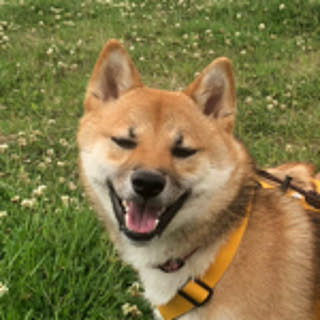 kurukuru