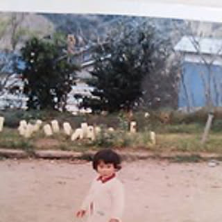Michi