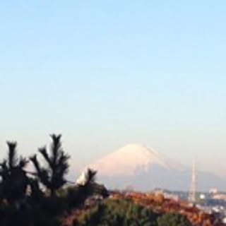 matsuko