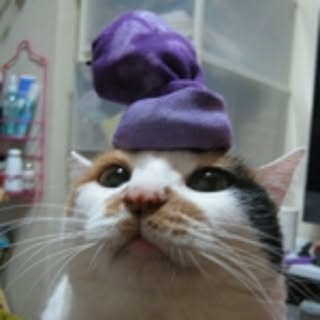 MeekmA